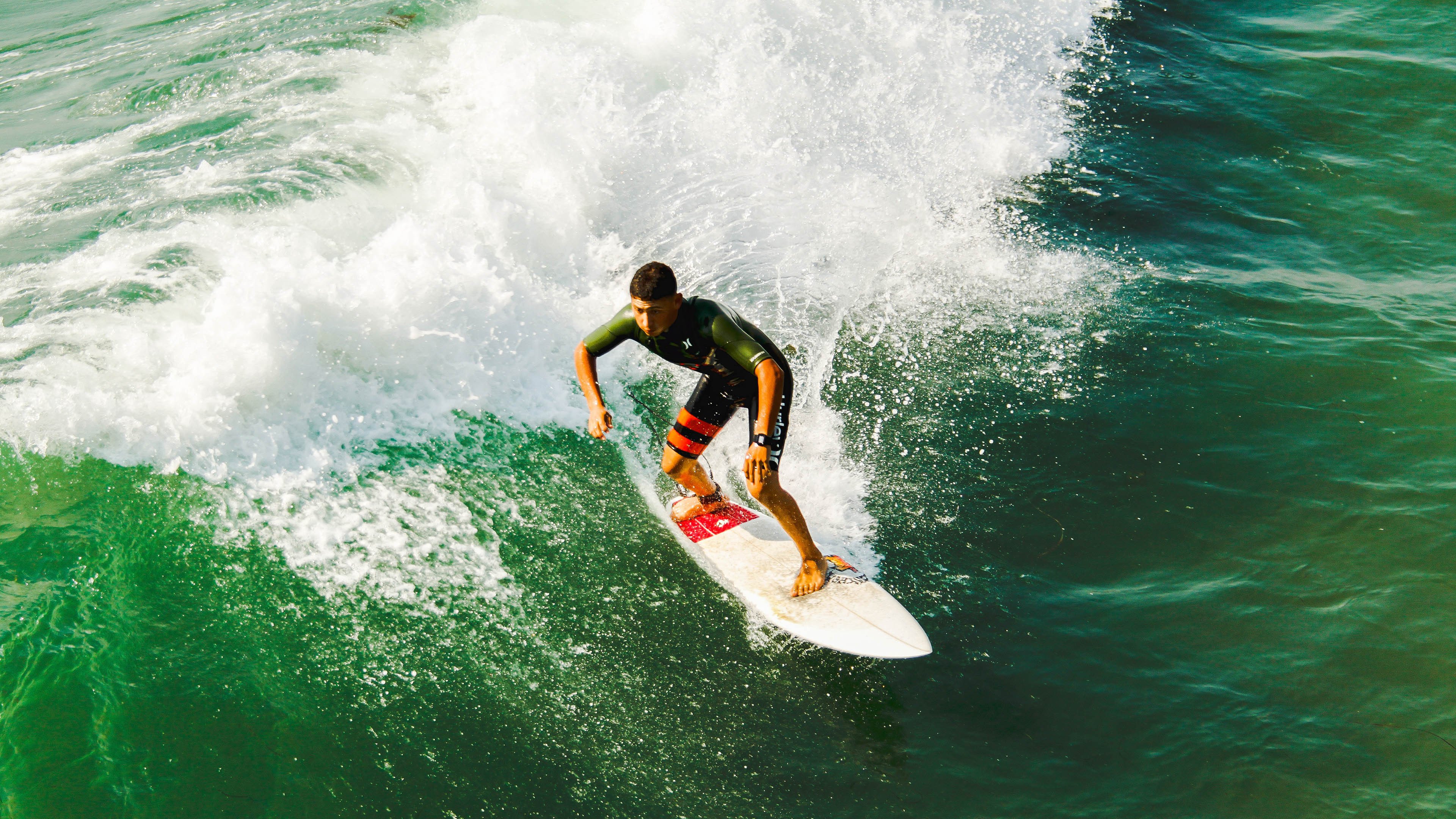 “宠物鸟飞行回圈赛” 有训练基础的鸟类参与