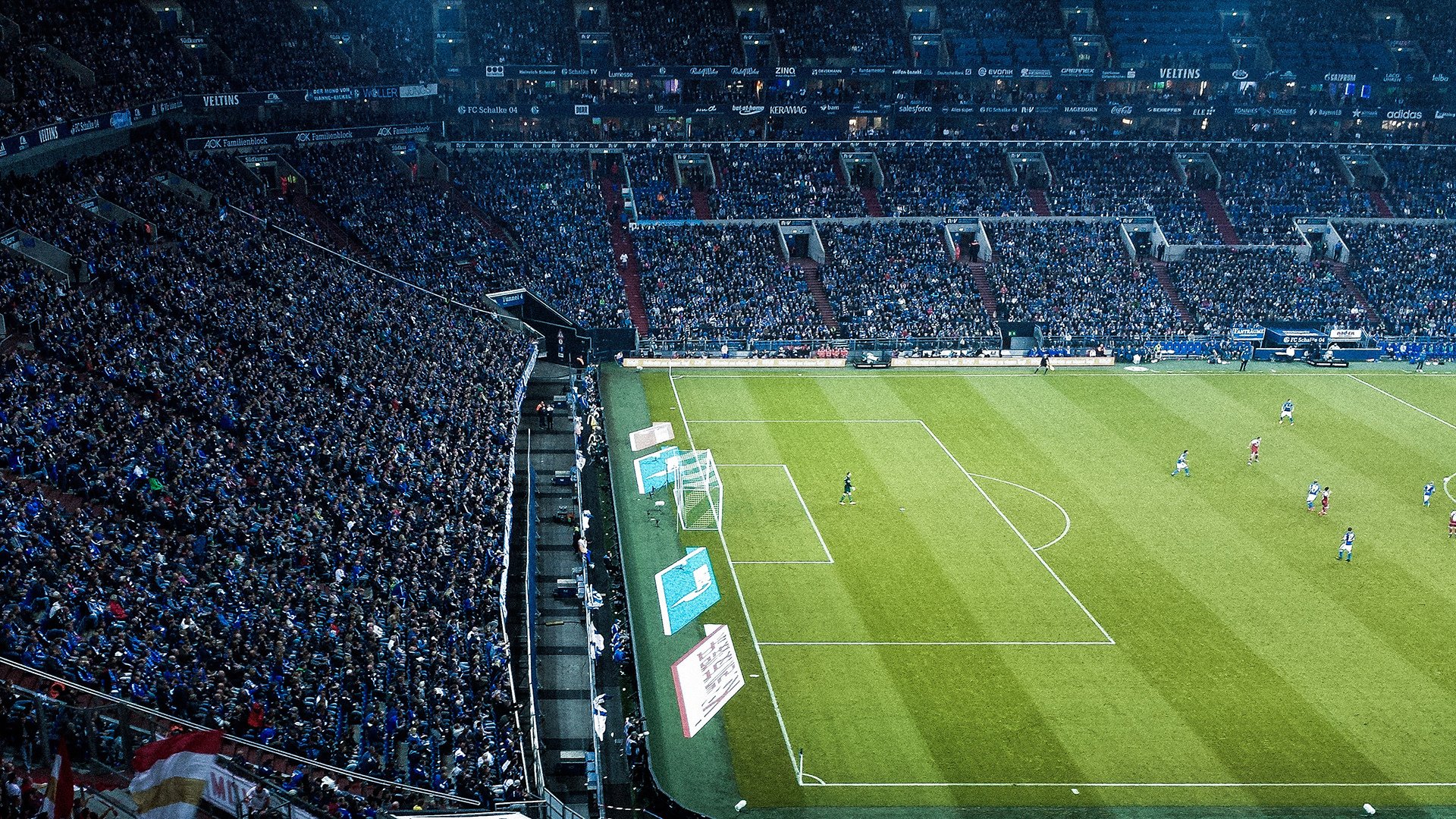 健身达人社交媒体影响