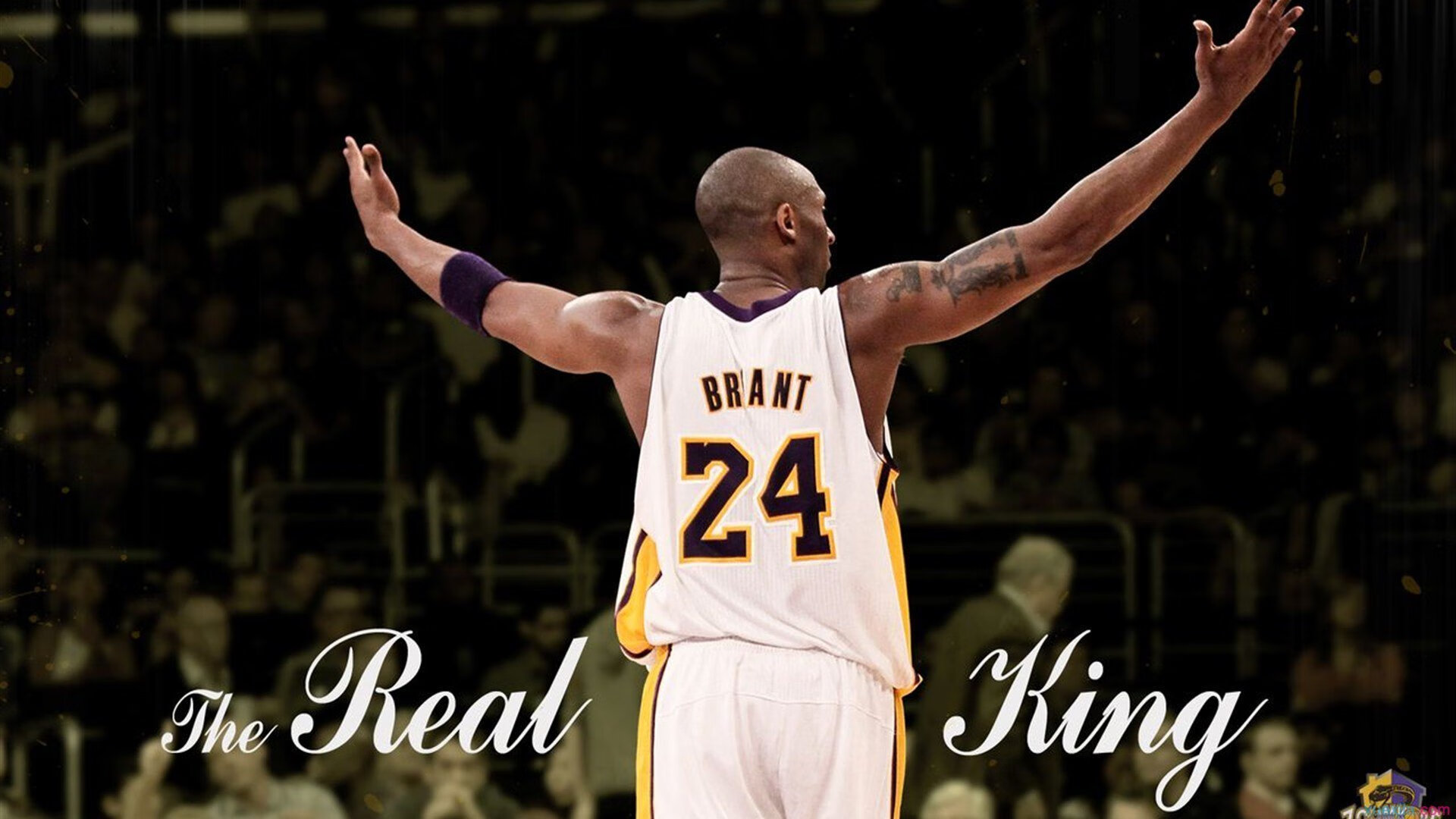 足球青训体系最新发展